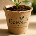 Châu cây từ vật liệu tái chế Mini Recycled Plan Pot - EcoSoul